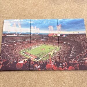 Stadium Panoramic Wall Art - Red and Green Team Scene